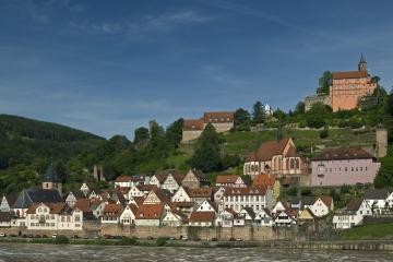 Hirschhorn mit Burg