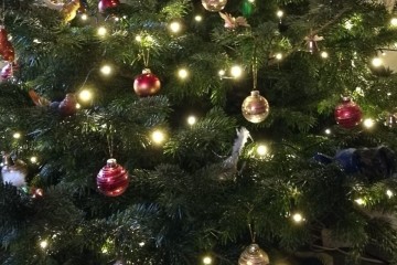 geschmückter Weihnachtsbaum