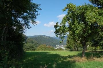 Blick von Mückenloch nach Dilsberg mit Wiese und Bäumen im Vordergrund