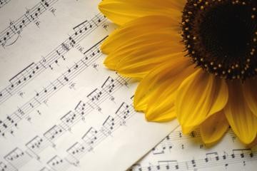 Musiknoten mit Sonnenblume